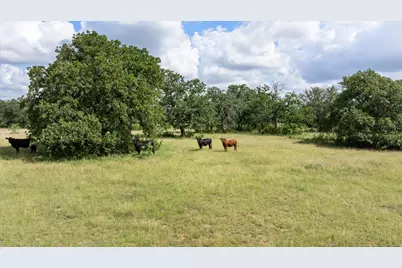 Tbd Cr 2200, Hico, TX 76457 - Photo 4