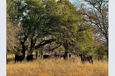 Tbd Cr 2200, Hico, TX 76457 - Photo 30