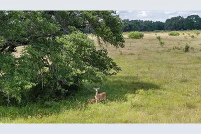 Tbd Cr 2200, Hico, TX 76457 - Photo 2