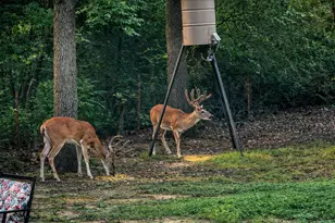 3360 Forest Glen Dr, Corinth, TX 76210 - Photo 34