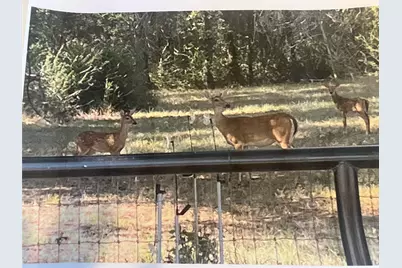 776 Orchid Hill Lane, Lantana, TX 76226 - Photo 4