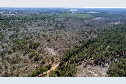 Tbd County Road 2752, Naples, TX 75568 - Photo 4