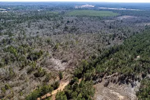 Tbd County Road 2752, Naples, TX 75568 - Photo 4