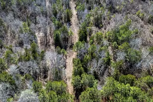 Tbd County Road 2752, Naples, TX 75568 - Photo 8