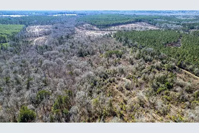 Tbd County Road 2752, Naples, TX 75568 - Photo 6