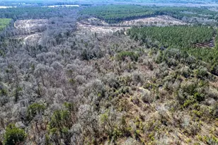 Tbd County Road 2752, Naples, TX 75568 - Photo 6