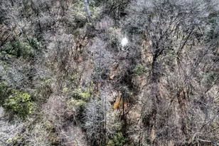 Tbd County Road 2752, Naples, TX 75568 - Photo 10