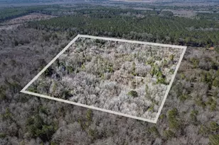 Tbd County Road 2752, Naples, TX 75568 - Photo 2