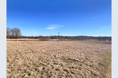 0 Cr 4336, LaRue, TX 75770 - Photo 4