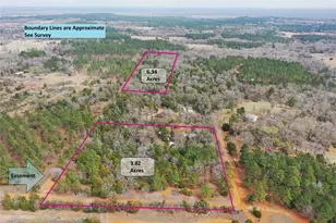 236 Private Rd 247, Oakwood, TX 75855 - Photo 8