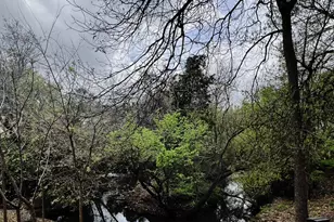 4859 Cedar Springs Rd, Dallas, TX 75219 - Photo 24