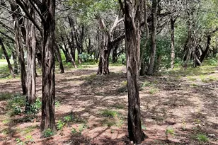 4920 Shining Star Trail, Rio Vista, TX 76093 - Photo 38