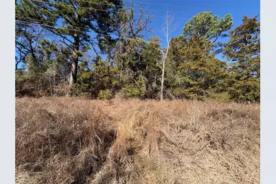 22442 Shady Trail, Flint, TX 75762 - Photo 8