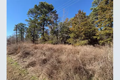 22442 Shady Trail, Flint, TX 75762 - Photo 6