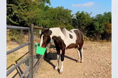 525 Brazos Hills Drive, Weatherford, TX 76087 - Photo 4