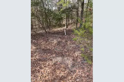 Tbd Wildwood, Murchison, TX 75778 - Photo 2