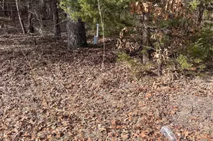 Tbd Wildwood, Murchison, TX 75778 - Photo 1