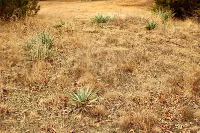 5732 Highland Drive, Granbury, TX 76048 - Photo 8