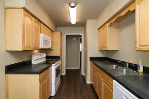 3230 Ridgeview Cir, Irving, TX 75062 - Photo 10