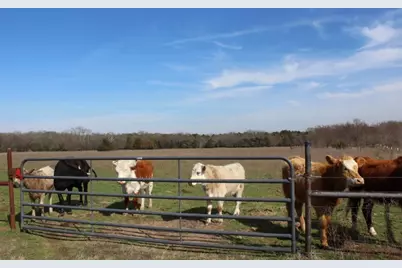 2488 Rs County Road 1525, Point, TX 75472 - Photo 1