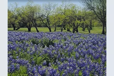 10612 Steinbeck Court, Irving, TX 75063 - Photo 30
