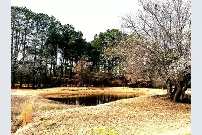 1525 Mansfield Road, Reno, TX 75462 - Photo 4