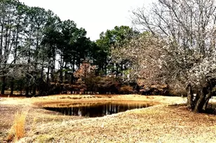 1525 Mansfield Rd, Reno, TX 75462 - Photo 4