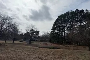 1525 Mansfield Rd, Reno, TX 75462 - Photo 22