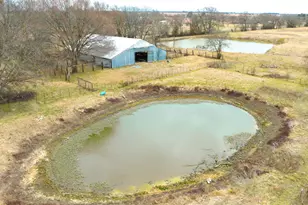 33734 FM 47, Mabank, TX 75147 - Photo 30