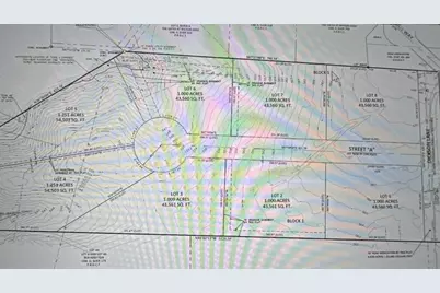 322 Arbor Cove Lane, Oak Point, TX 75068 - Photo 4