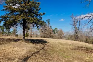 Tbd Ridgeline Loop, Winona, TX 75792 - Photo 1