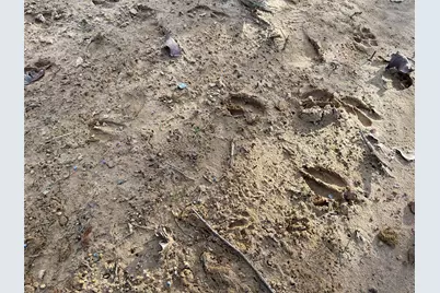 210 Fcr 521, Fairfield, TX 75840 - Photo 20