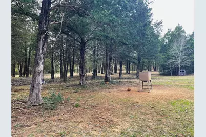 210 Fcr 521, Fairfield, TX 75840 - Photo 26