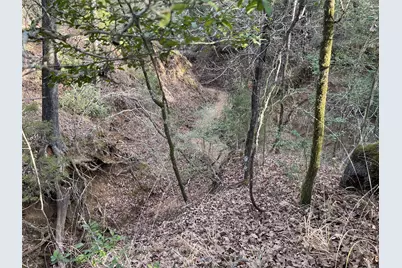 210 Fcr 521, Fairfield, TX 75840 - Photo 28