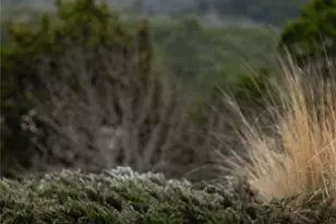 8225 Scotscraig Ct, Cleburne, TX 76033 - Photo 28