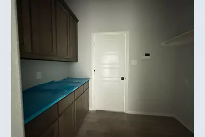 409 Hayden Faith Court, Springtown, TX 76082 - Photo 8