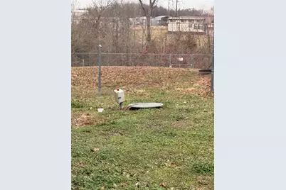 Lots 303 and 382 Broken Bow, Quitman, TX 75783 - Photo 6