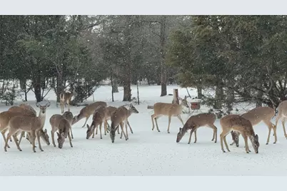 108 Red Eagle Court, Weatherford, TX 76087 - Photo 34