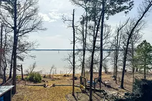 670 Red Bud Dr, Avinger, TX 75630 - Photo 28