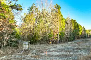 Tbd County Road 1512, Avinger, TX 75630 - Photo 8