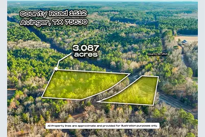 Tbd County Road 1512, Avinger, TX 75630 - Photo 1