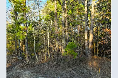 Tbd County Road 1512, Avinger, TX 75630 - Photo 10