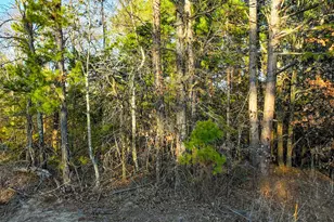 Tbd County Road 1512, Avinger, TX 75630 - Photo 10