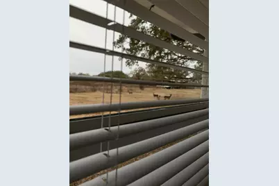 11311 Farm Road 197, Arthur City, TX 75411 - Photo 20