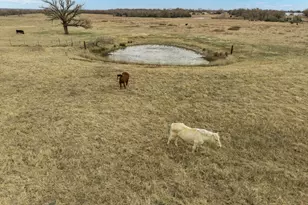 12434 Fm 937, Thornton, TX 76687 - Photo 38