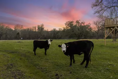 1435 County Road 3550, Valley Mills, TX 76689 - Photo 34