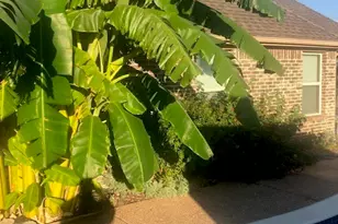 1901 Bay Laurel Dr, Weatherford, TX 76086 - Photo 32