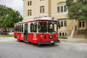 1013 Sherman St, McKinney, TX 75069 - Photo 30