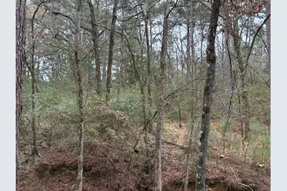 Tbd Fcr 240, Fairfield, TX 75840 - Photo 14