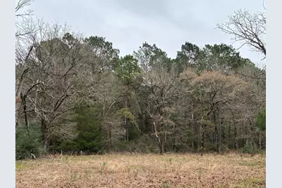 Tbd Fcr 240, Fairfield, TX 75840 - Photo 2